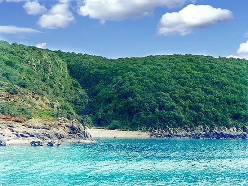 Exceptional Beachfront Land in Western Mani, Messinia - 318,000m² for Luxury Resort Development - Photo 7