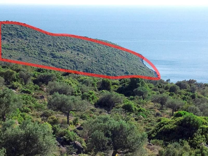 Exceptional Beachfront Land in Western Mani, Messinia - 318,000m² for Luxury Resort Development - Photo 5