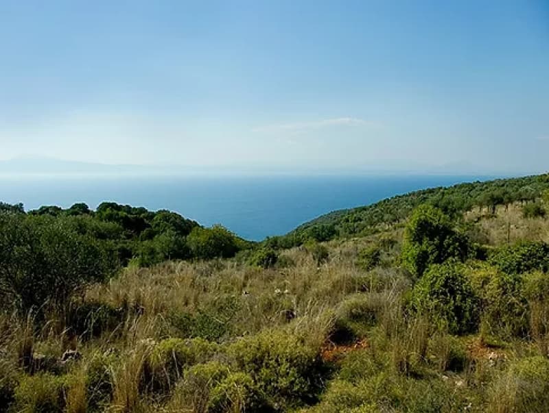 Exceptional Beachfront Land in Western Mani, Messinia - 318,000m² for Luxury Resort Development - Photo 30