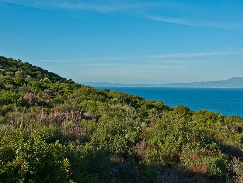 Exceptional Beachfront Land in Western Mani, Messinia - 318,000m² for Luxury Resort Development - Photo 9