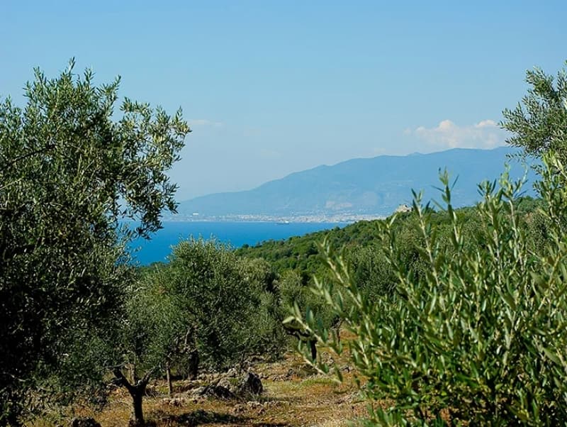 Exceptional Beachfront Land in Western Mani, Messinia - 318,000m² for Luxury Resort Development - Photo 11
