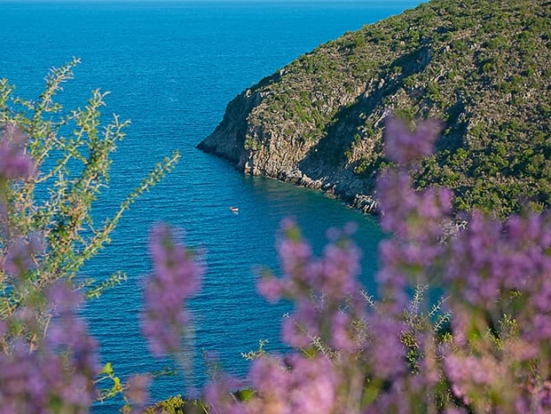 Exceptional Beachfront Land in Western Mani, Messinia - 318,000m² for Luxury Resort Development - Photo 23