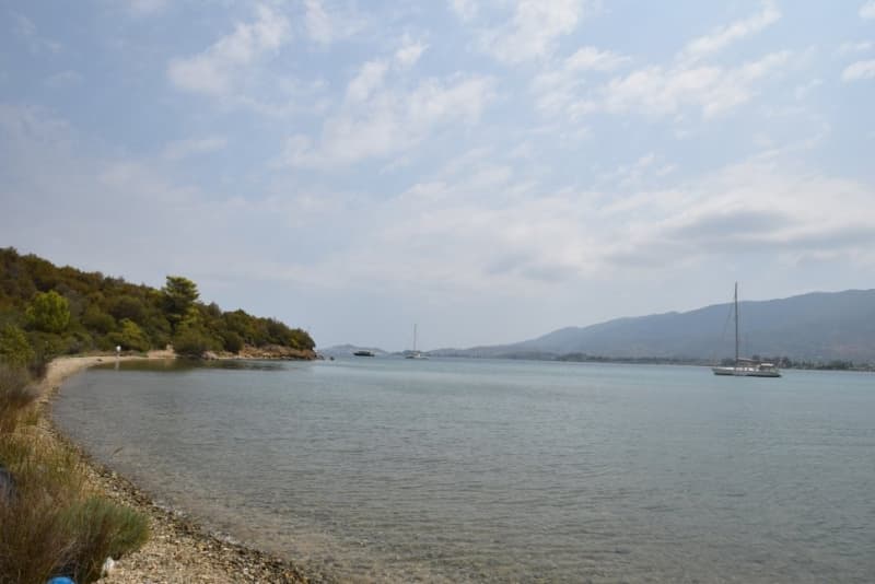 阿尔戈利达海滨投资地块出售 - 张照片 13