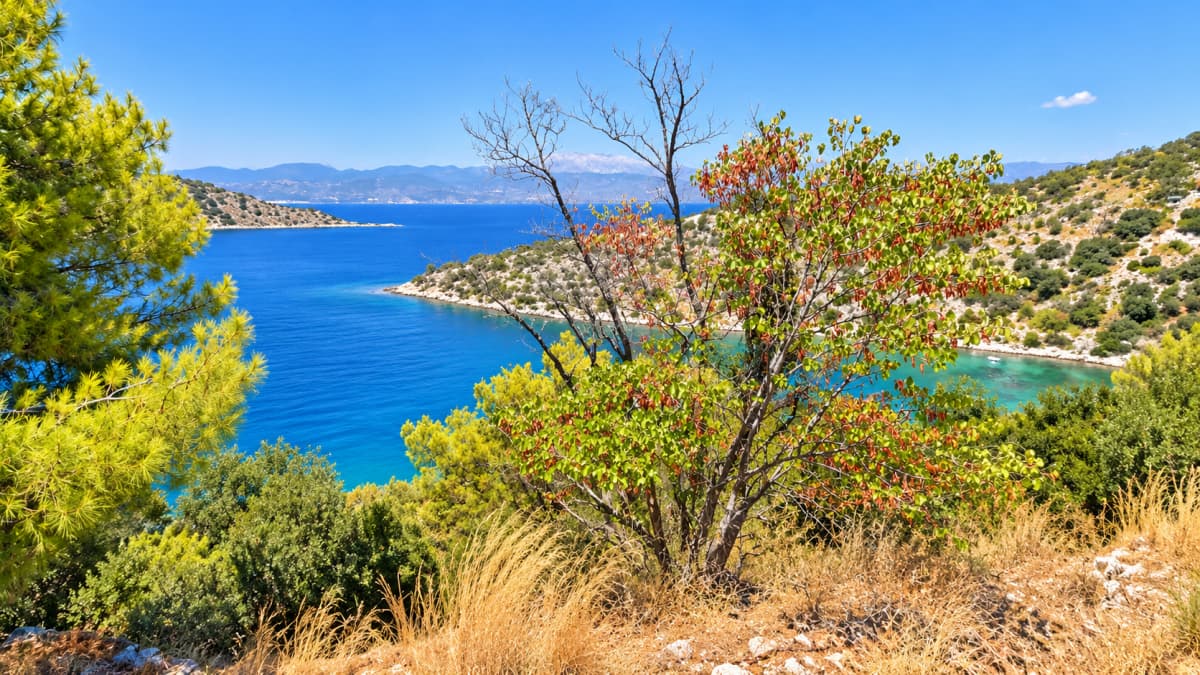 Panoramic view from a rocky hill towards the sea and islands.