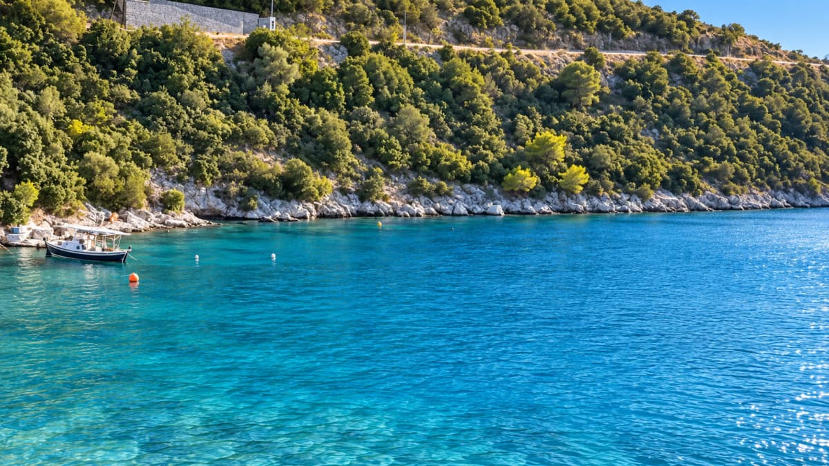 A clear blue sea borders a rocky shoreline covered in lush green vegetation and trees.