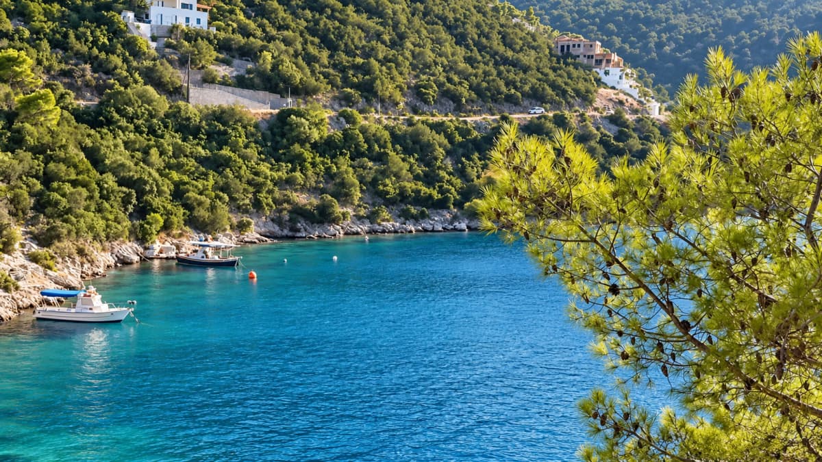 A clear blue bay framed by a lush green hillside with scattered houses and a pine tree in the foreground.
