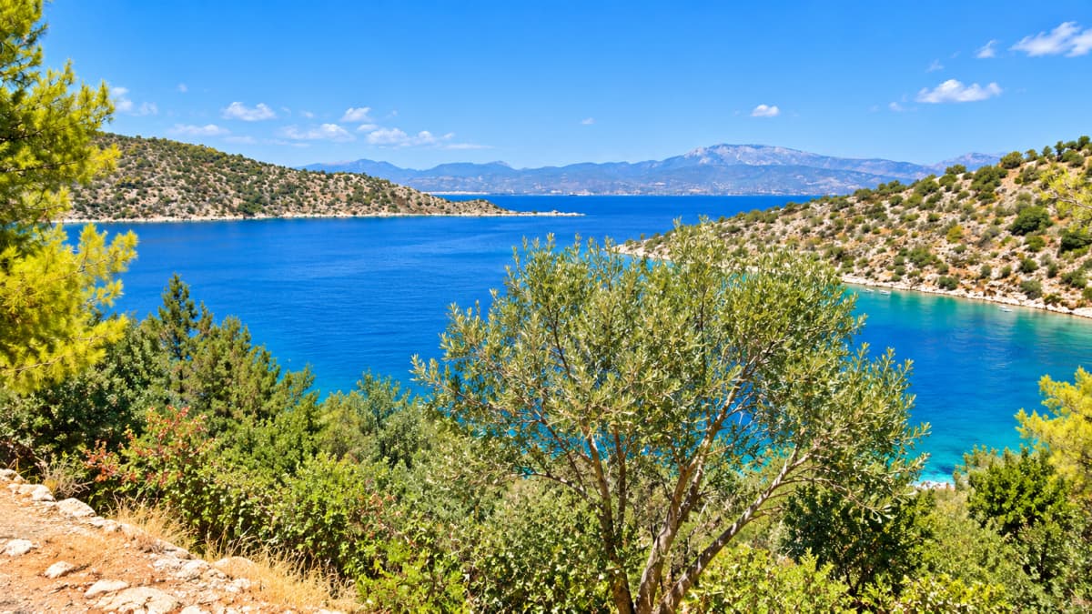 An elevated exterior view of a sea bay framed by green hills and trees under a clear blue sky.