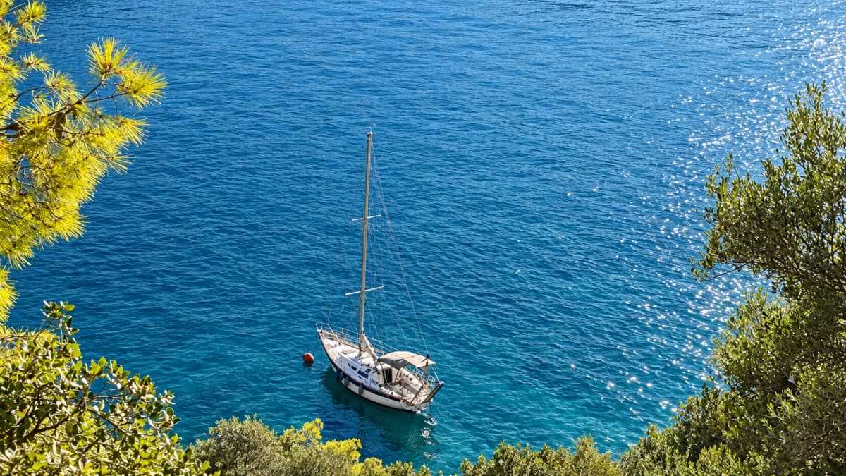High-angle view of a sailboat anchored on clear blue water framed by green foliage.