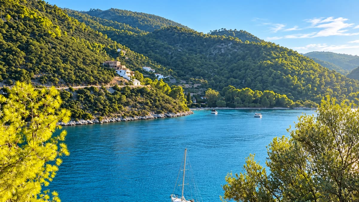 A wide shot shows a tranquil blue bay framed by forested hills, with several distant boats and a sailboat mast visible in the foreground.