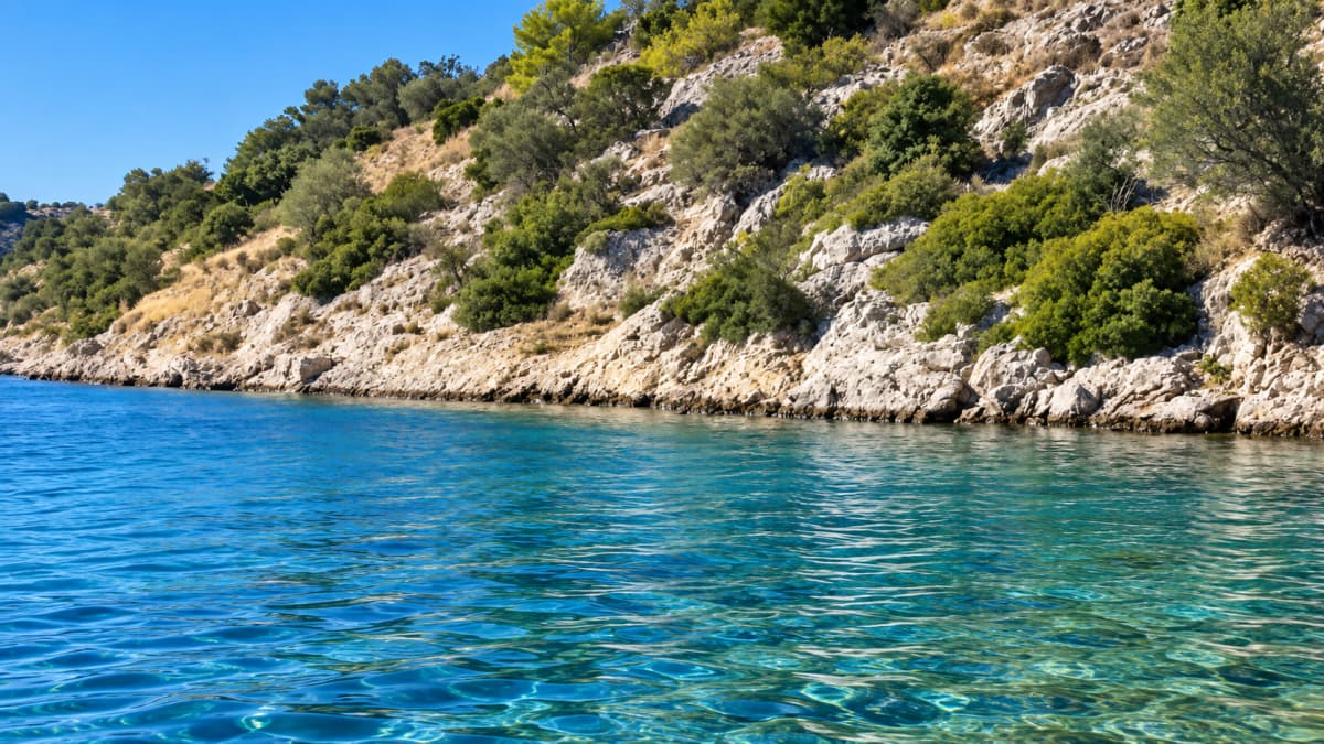 Clear blue sea water ripples in the foreground against a rocky, shrub-covered coastline under a clear blue sky.