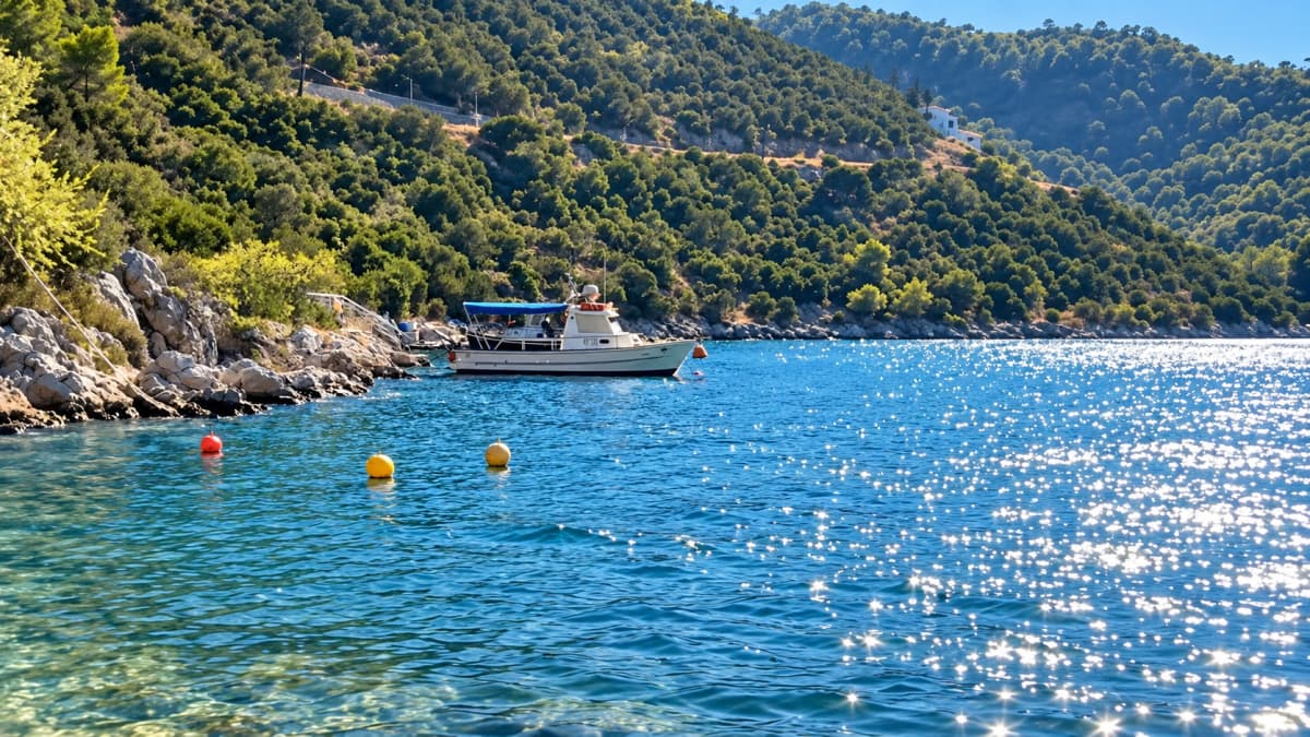 A small white motorboat floats in a blue sea surrounded by green forested hills.